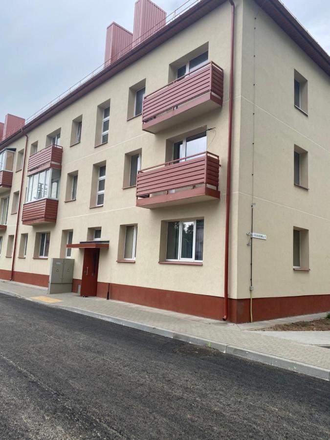 Studio Flat In Kėdainiai Extérieur photo